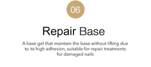 BANDI BIO Base Gel