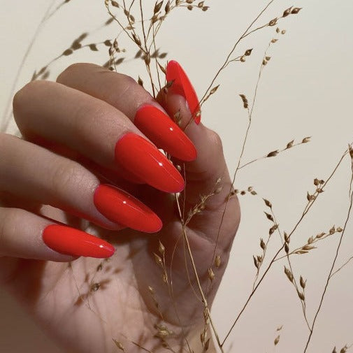 DARK Pro Base #38, 15ml