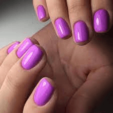 LUXIO by AKZENTZ - ATTRACTION