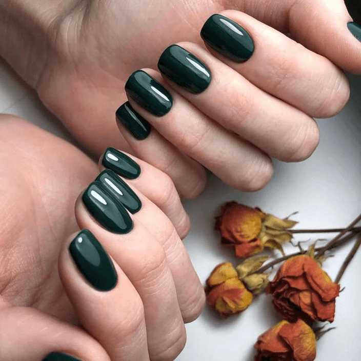 LUXIO by AKZENTZ - FORTUNE