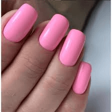 LUXIO by AKZENTZ - DELIGHTFUL