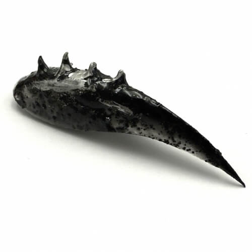 Adore Professional Clay Gel #1- Charcoal