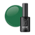 Adore Professional Translucent Gel Polish- Amazonite
