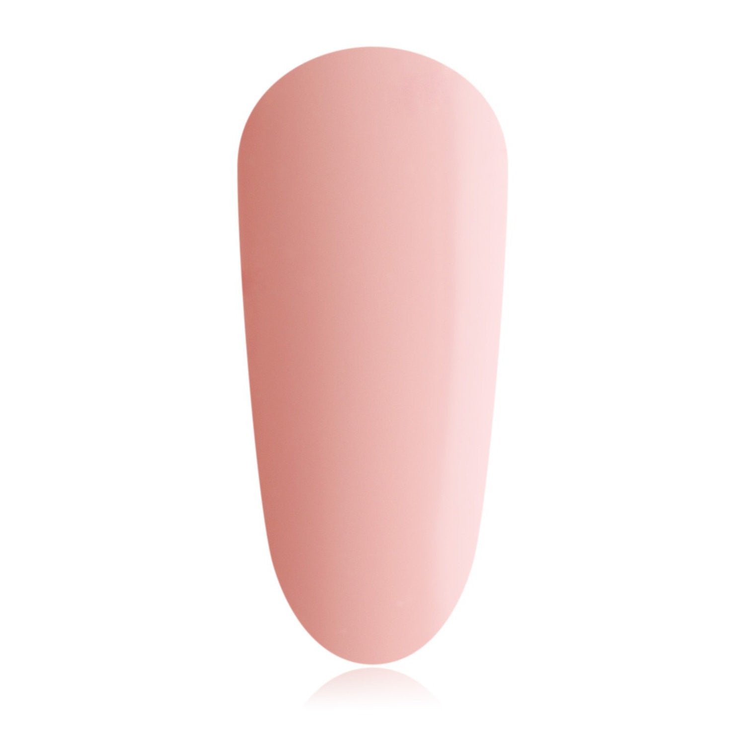 The GelBottle - Teddy BIAB Builder Gel, 20 ml