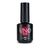 Uno Lux Acid Free Primer